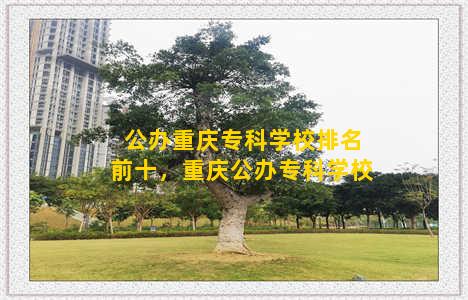 公办重庆专科学校排名前十，重庆公办专科学校