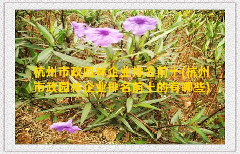 杭州市政园林企业排名前十(杭州市政园林企业排名前十的有哪些)