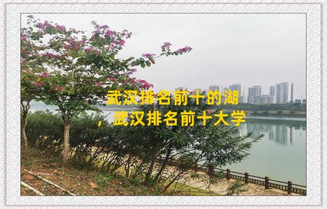 武汉排名前十的湖，武汉排名前十大学