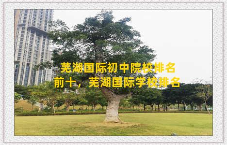 芜湖国际初中院校排名前十，芜湖国际学校排名