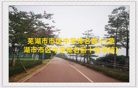 芜湖市市区中学排名前十(芜湖市市区中学排名前十的学校)