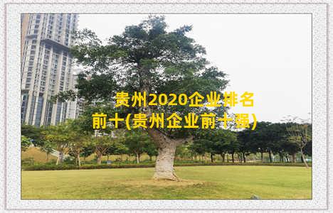 贵州2020企业排名前十(贵州企业前十强)