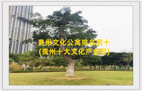 贵州文化公寓排名前十(贵州十大文化产业园)