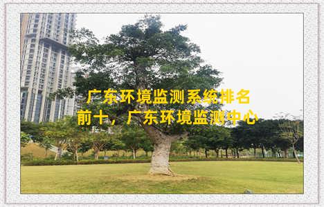 广东环境监测系统排名前十，广东环境监测中心
