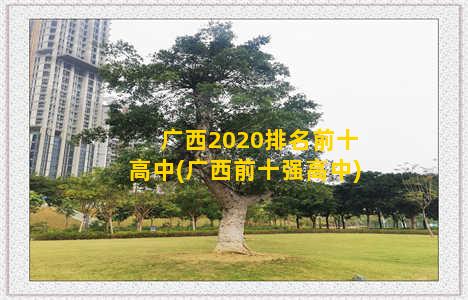广西2020排名前十高中(广西前十强高中)